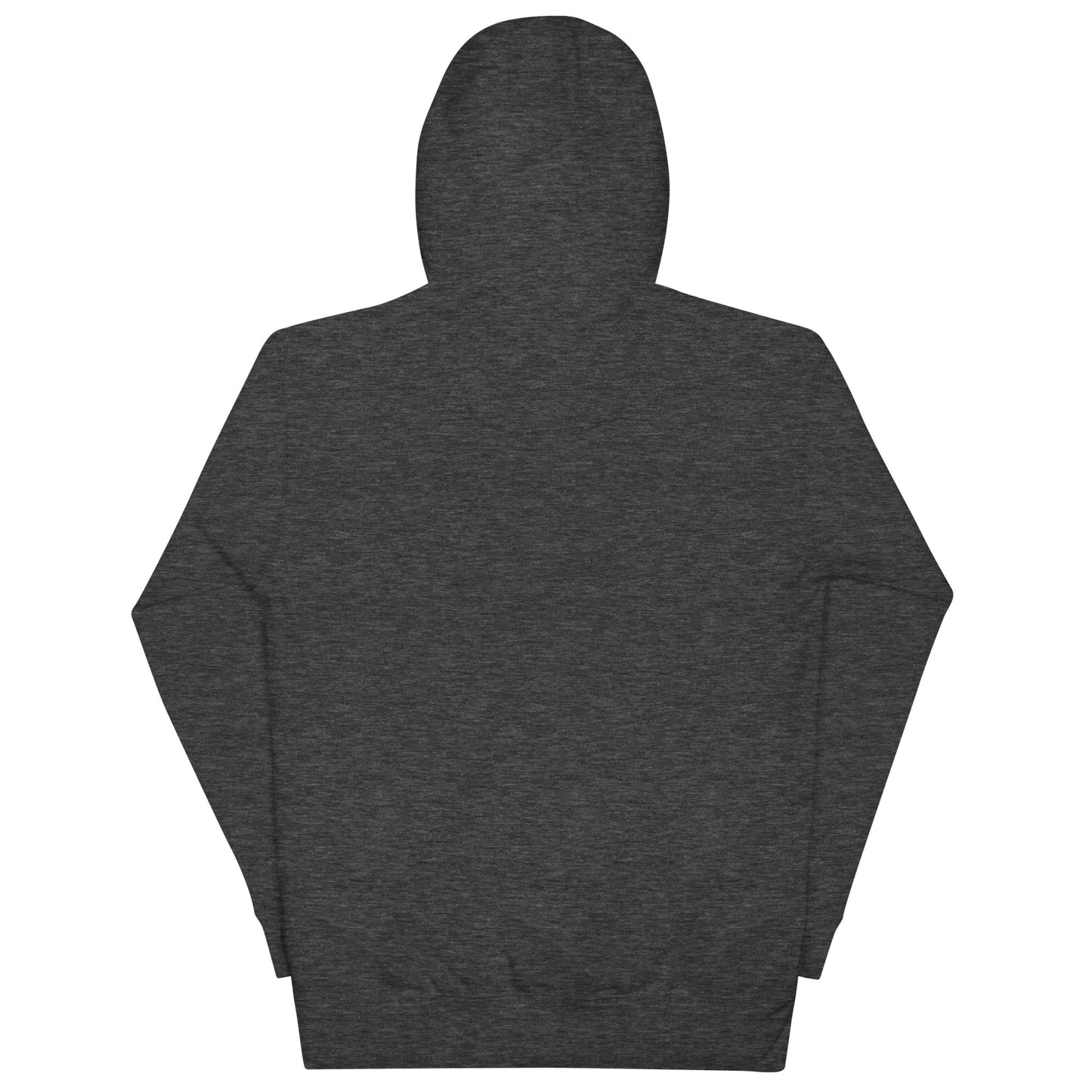 Airplane Embroidered Hoodie, Charcoal