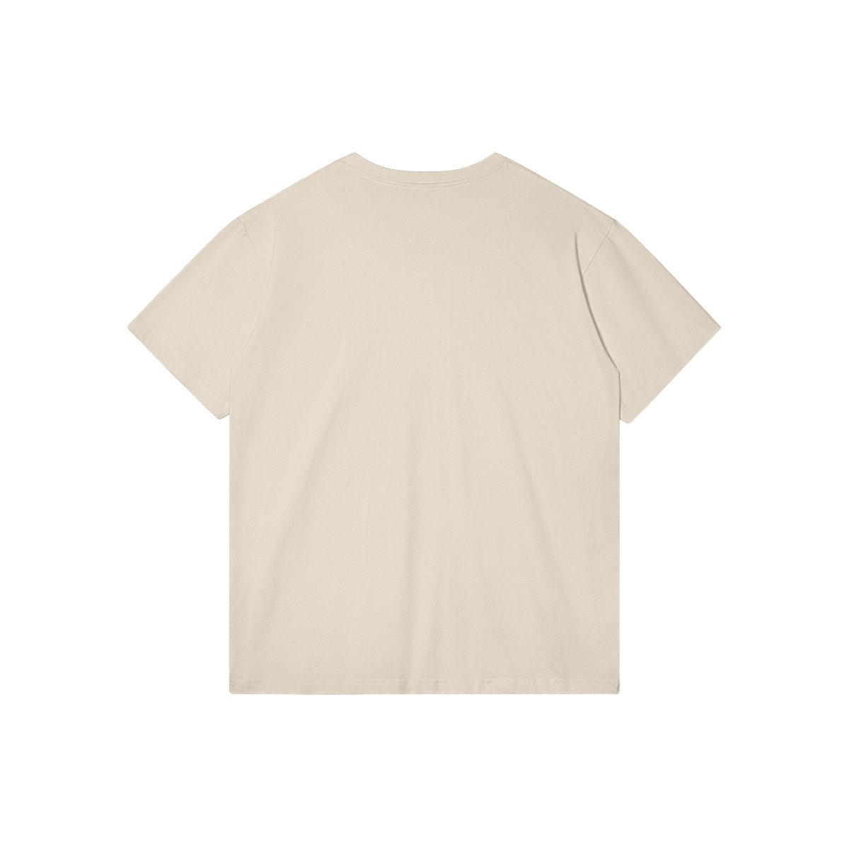 AE? Generational Hater Tee, Tan