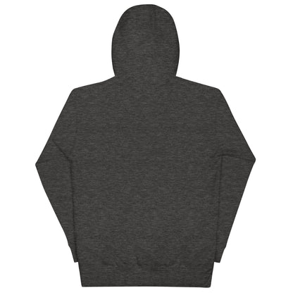Airplane Embroidered Hoodie, Charcoal