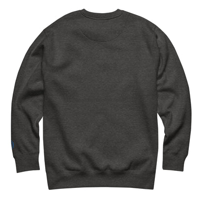 Airplane Embroidered Crewneck Sweatshirt, Charcoal