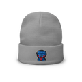 DggL Winter Beanie, Gray